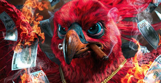 Crazy Phoenix, red bird, muzzle wallpaper