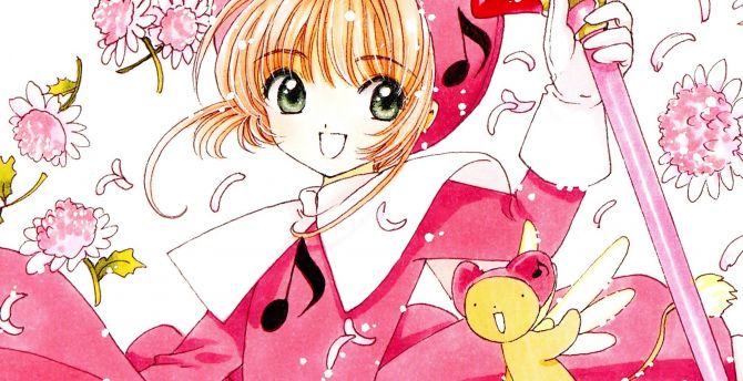 Pink flowers, Sakura Kinomoto, anime girl wallpaper