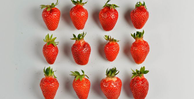 Strawberries, berries, arranged, minimalism wallpaper