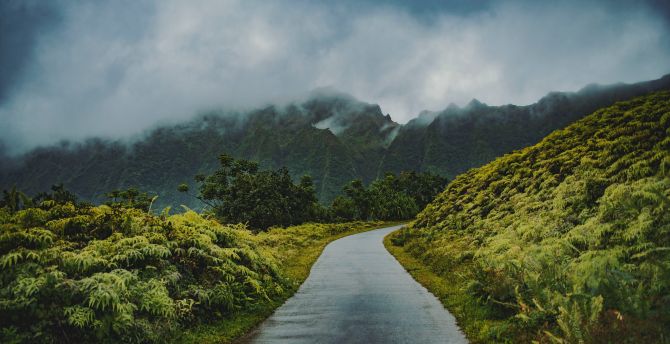 Road through green hills, mist, nature wallpaper