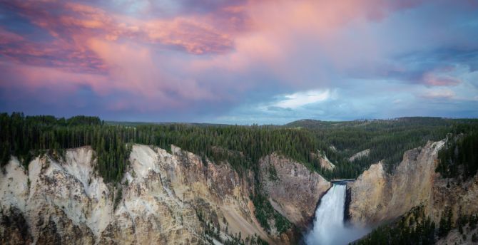 Yellowstone National park, forest, sunset, nature wallpaper
