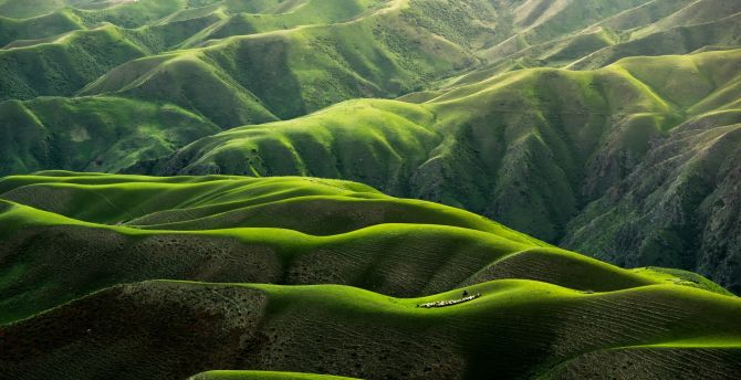 Beautiful greenery, hills and landscape, nature wallpaper