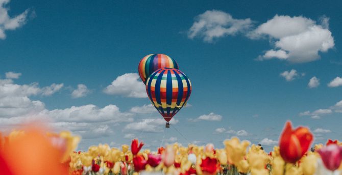 Wallpaper hot air balloons, white-red-yellow tulips, farm desktop wallpaper,  hd image, picture, background, 97d691 | wallpapersmug