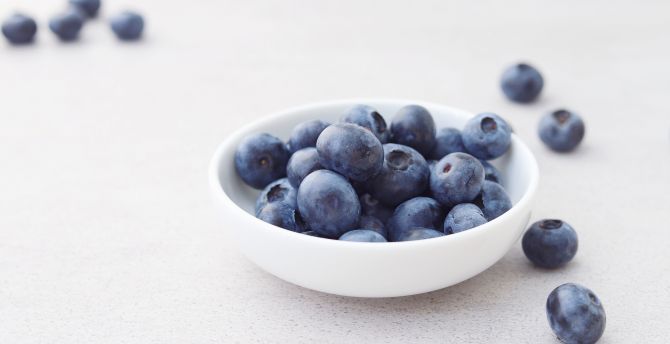Minimal, bowl of blueberry, fruits wallpaper