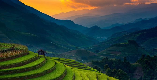 Rice farms, landscape, horizon, mountains, Philippines wallpaper