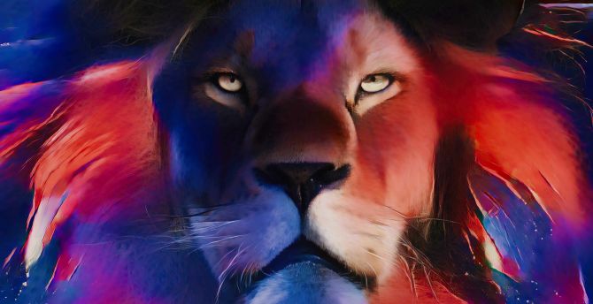 Lion muzzle, confident beast, art wallpaper
