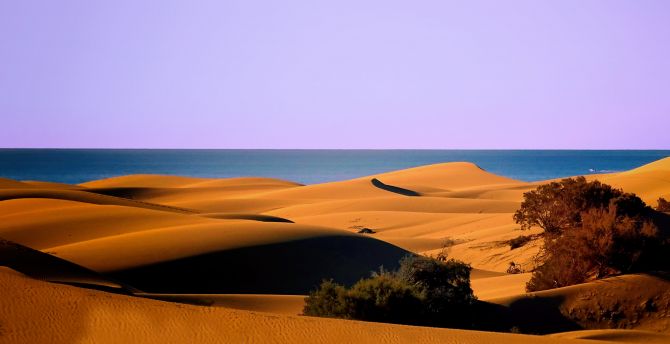 Dunes, desert, coast, sea, nature wallpaper