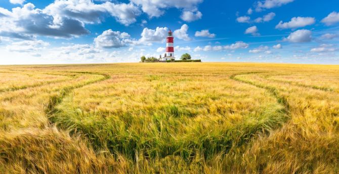 Landscape, farm, lighthouse, sunny day wallpaper