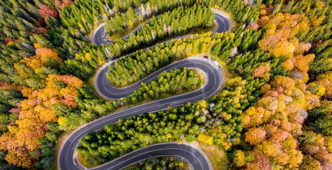 Winding road, highway, aerial view, forest wallpaper
