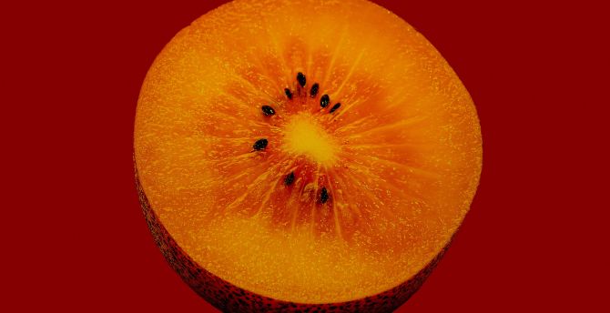 Orange fruit, close up, slice wallpaper