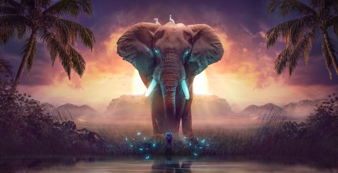 The Elephant of dreamland, wild animals, fantasy wallpaper