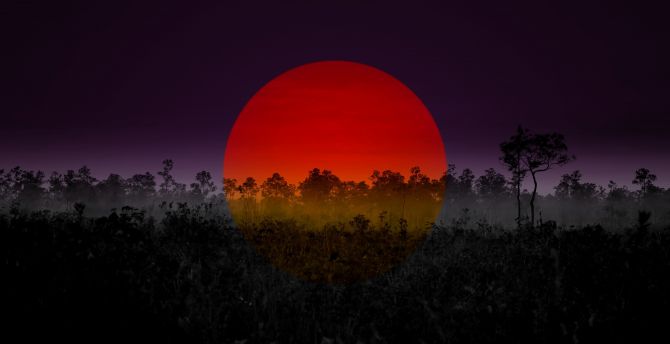 Red sun, photoshop, sunset, silhouette, art wallpaper