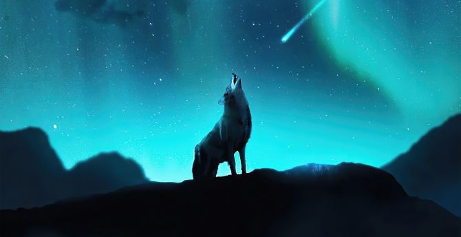 Fox howling, night, northern lights, stars wallpaper