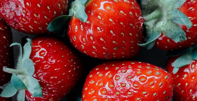 Juicy and fresh strawberries, close up wallpaper