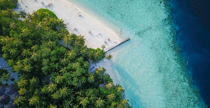 Maldives, island, tropical, aerial view, beach wallpaper