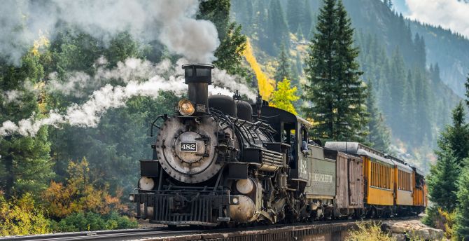 Steam engine, train, forest, railroad, vehicle wallpaper