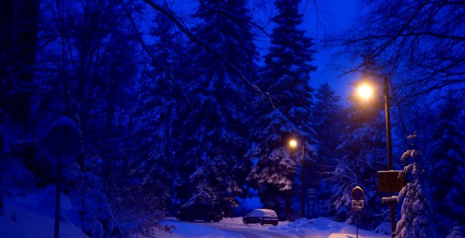 Winter, night, street lights, road wallpaper