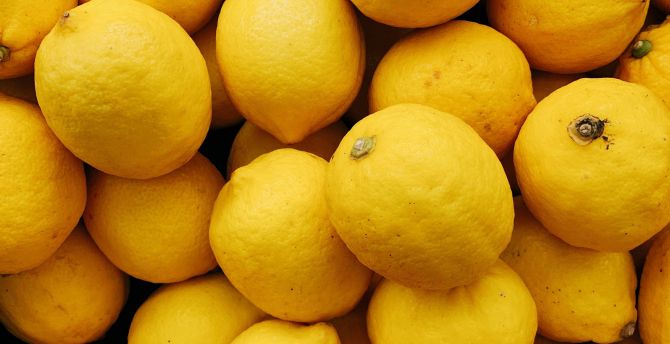 Lemons, citrus fruit wallpaper