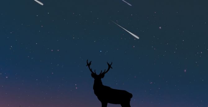 Deer, moon, night, artwork wallpaper