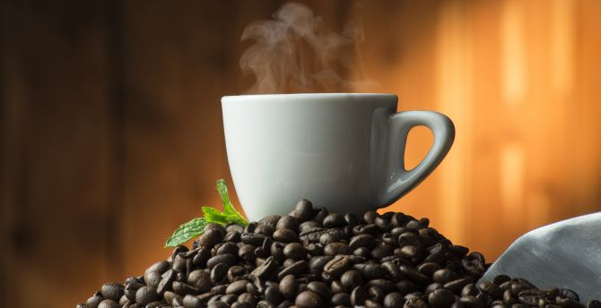 Coffee cup, smoke, beans wallpaper