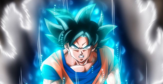 Goku, Ultra Instinct, Dragon ball, artwork wallpaper