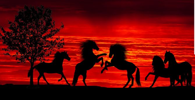Sunset, silhouette, horses, herd wallpaper