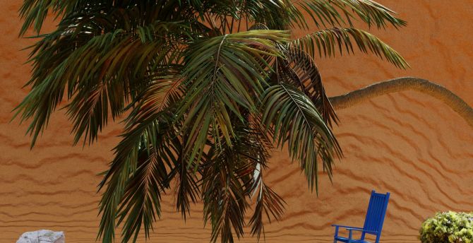 Palm tree and desert, vacation wallpaper