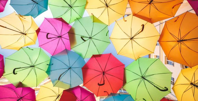 Decorative, colorful, umbrella wallpaper