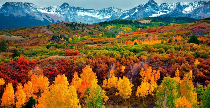 Autumn season, trees, mountains, horizon, nature wallpaper
