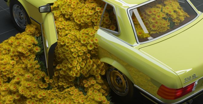Car and flowers, Mercedes-Benz classic wallpaper