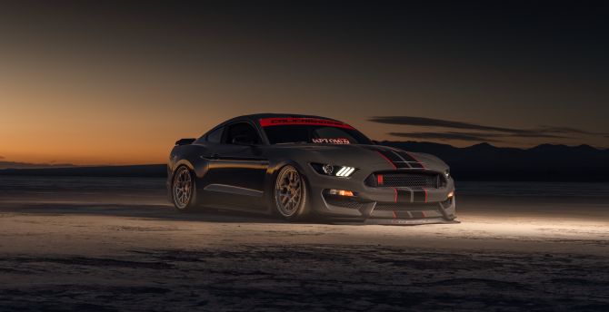 2022 Ford Shelby GT350, sportcar, off-road wallpaper