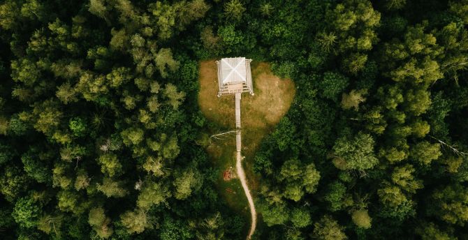 Hut, aerial view, road in forest, green trees wallpaper