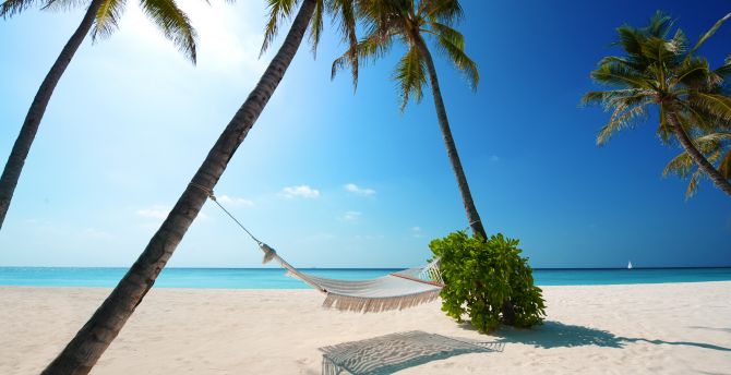 Wallpaper beach, holiday, summer, palm trees, island desktop wallpaper, hd  image, picture, background, a68982 | wallpapersmug