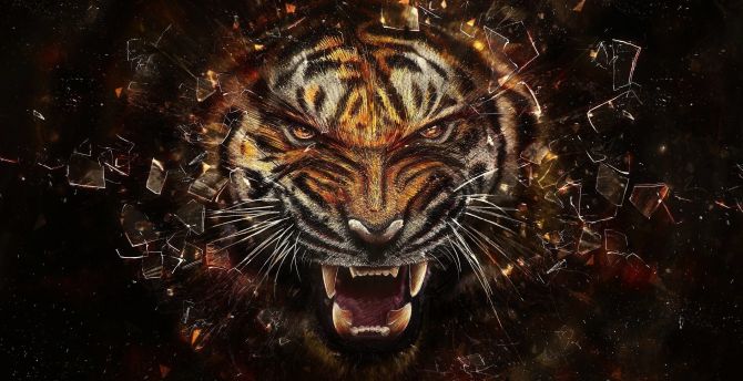 Tiger, muzzle, angry, artwork wallpaper