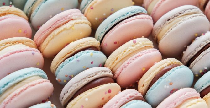Colorful, sweets, macarons wallpaper
