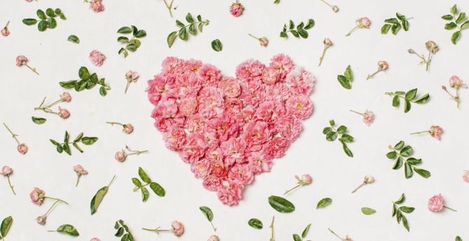 Heart, pink flowers, leaves wallpaper