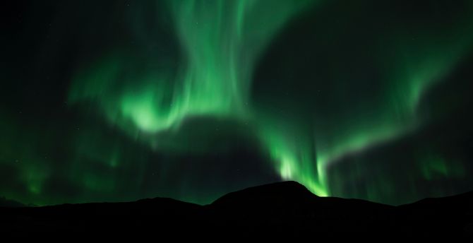 Sky, green lights, Aurora Borealis, silhouette wallpaper