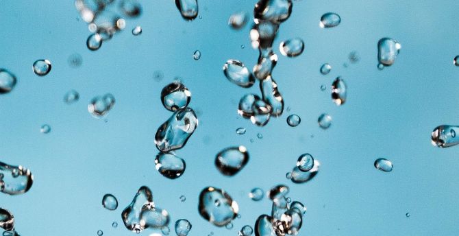 Water drops, close up, transparent wallpaper