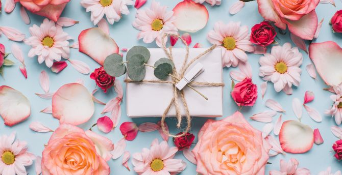 Flowers, roses, petals, gift box wallpaper