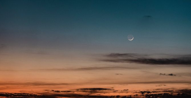 Evening, silhouette, sky, nature, moon wallpaper
