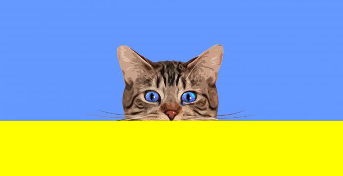Cat, muzzle, blue eyes, minimal, art wallpaper
