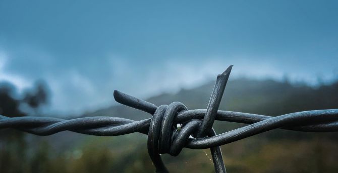 Close up, Barbed wire wallpaper