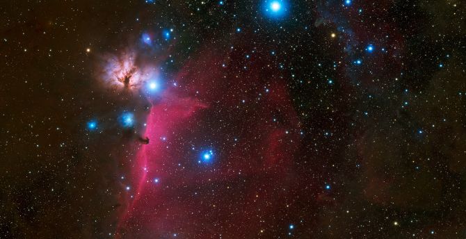 Horsehead, nebula, space, galaxy, stars, universe wallpaper