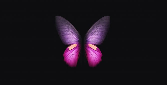 Samsung Galaxy Fold, pink-purple Butterfly, minimal wallpaper