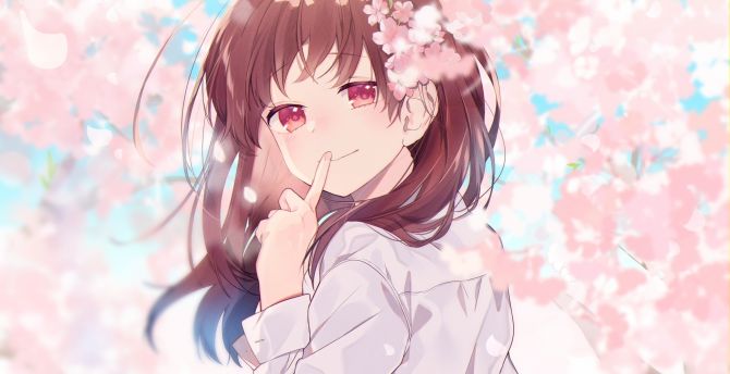 Beautiful, anime girl, cute, cherry flowers wallpaper