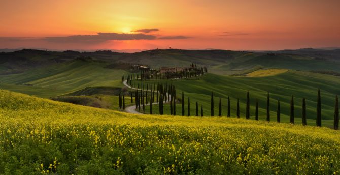 Tuscany, meadow, pathway, sunset wallpaper
