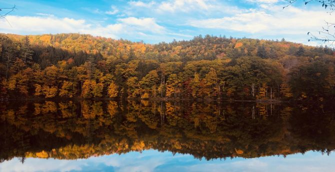 Fall, autumn, lake, trees, reflections, nature wallpaper