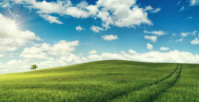 Green landscape, adorable, sunny day wallpaper