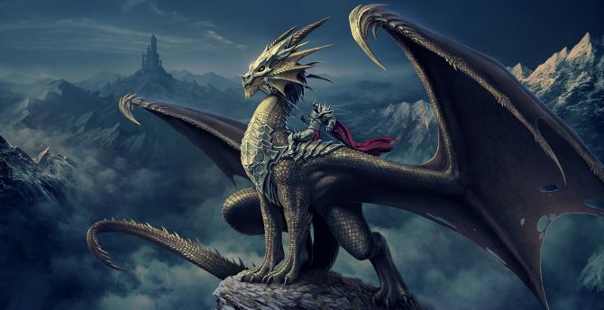 Dragon, knight, fantasy, warrior, art wallpaper