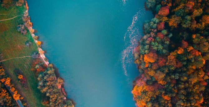 Lake, trees, aerial view, colorful, autumn wallpaper